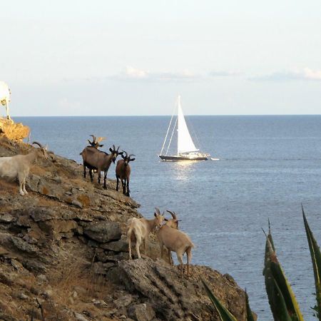 Isola D'Elba Come In Barca, A Un Tuffo Dal Mare Capoliveri  Exterior foto